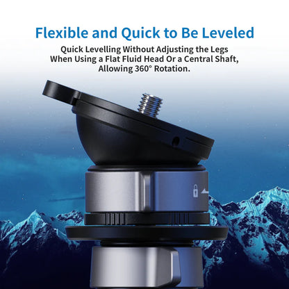 [BRAND NEW] YC ONION LB52 (BOWL HEAD)